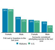 Serious Mental Health Disturbances Among High School Students, by Gender, 2009