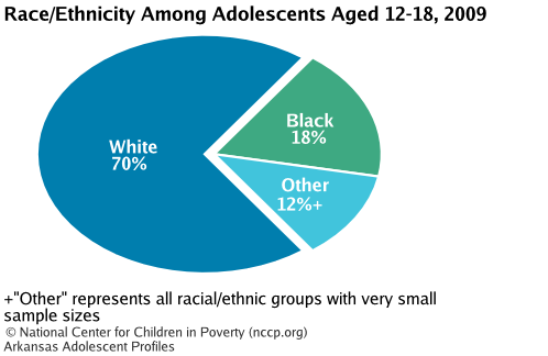 Race/Ethnicity Among Adolescents Aged 12-18, 2008
