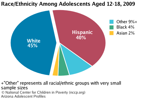 Race/Ethnicity Among Adolescents Aged 12-18, 2008