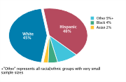 Race/Ethnicity Among Adolescents Aged 12-18, 2008