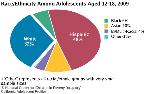 Race/Ethnicity Among Adolescents Aged 12-18, 2008