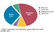 Race/Ethnicity Among Adolescents Aged 12-18, 2008