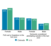 Serious Mental Health Disturbances Among High School Students, by Gender, 2009