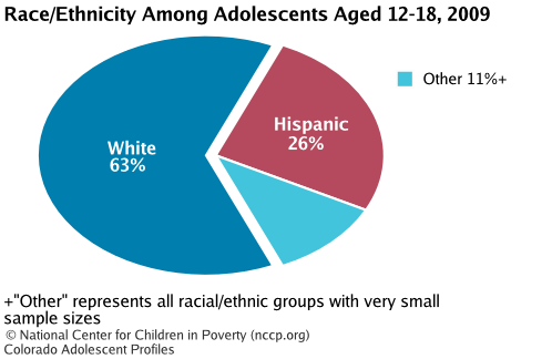 Race/Ethnicity Among Adolescents Aged 12-18, 2008