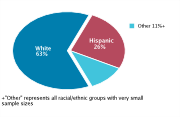 Race/Ethnicity Among Adolescents Aged 12-18, 2008