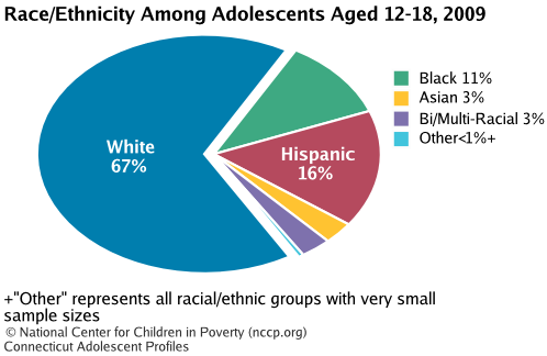 Race/Ethnicity Among Adolescents Aged 12-18, 2008