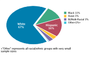 Race/Ethnicity Among Adolescents Aged 12-18, 2008