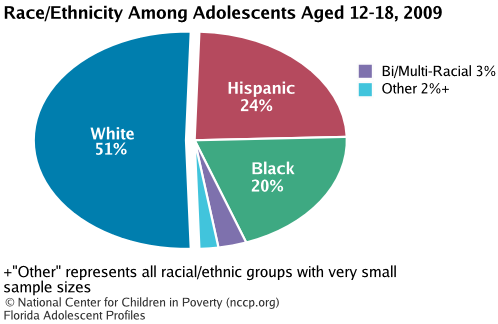 Race/Ethnicity Among Adolescents Aged 12-18, 2008