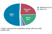 Race/Ethnicity Among Adolescents Aged 12-18, 2008