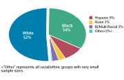 Race/Ethnicity Among Adolescents Aged 12-18, 2008