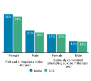 Serious Mental Health Disturbances Among High School Students, by Gender, 2009