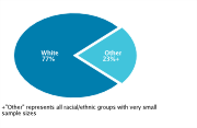 Race/Ethnicity Among Adolescents Aged 12-18, 2008