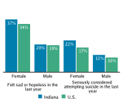 Serious Mental Health Disturbances Among High School Students, by Gender, 2009