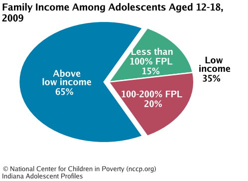Family Income Among Adolescents Aged 12-18, 2008