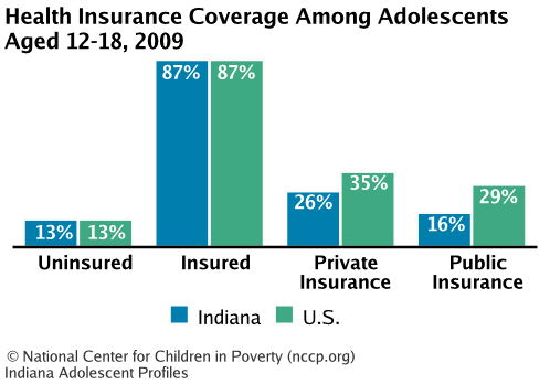 Health Insurance Coverage Among Adolescents Aged 12-18, 2008