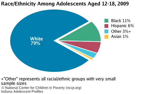Race/Ethnicity Among Adolescents Aged 12-18, 2008