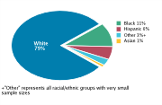 Race/Ethnicity Among Adolescents Aged 12-18, 2008