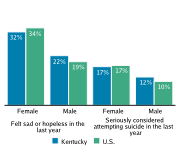Serious Mental Health Disturbances Among High School Students, by Gender, 2009