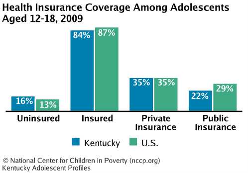 Health Insurance Coverage Among Adolescents Aged 12-18, 2008