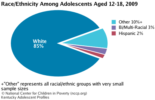 Race/Ethnicity Among Adolescents Aged 12-18, 2008