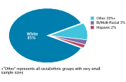Race/Ethnicity Among Adolescents Aged 12-18, 2008