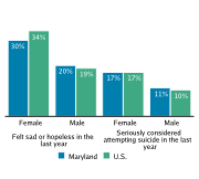 Serious Mental Health Disturbances Among High School Students, by Gender, 2009