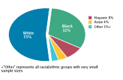 Race/Ethnicity Among Adolescents Aged 12-18, 2008