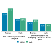 Serious Mental Health Disturbances Among High School Students, by Gender, 2009