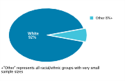 Race/Ethnicity Among Adolescents Aged 12-18, 2008
