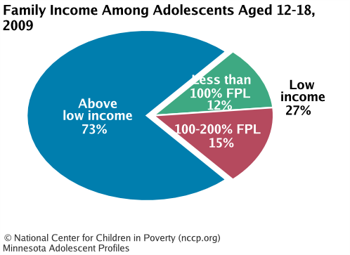 Family Income Among Adolescents Aged 12-18, 2008