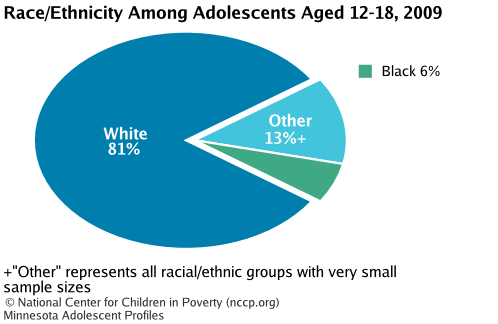Race/Ethnicity Among Adolescents Aged 12-18, 2008