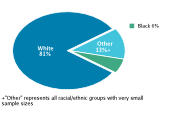 Race/Ethnicity Among Adolescents Aged 12-18, 2008