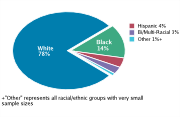 Race/Ethnicity Among Adolescents Aged 12-18, 2008