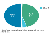 Race/Ethnicity Among Adolescents Aged 12-18, 2008