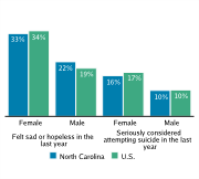 Serious Mental Health Disturbances Among High School Students, by Gender, 2009