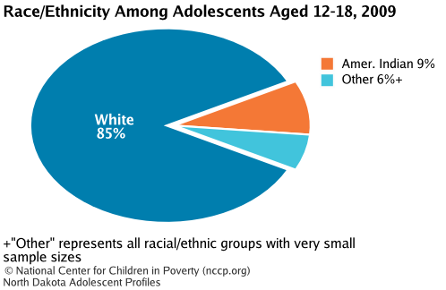 Race/Ethnicity Among Adolescents Aged 12-18, 2008