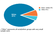 Race/Ethnicity Among Adolescents Aged 12-18, 2008