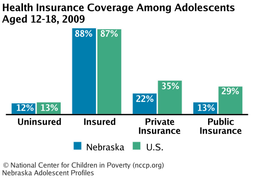 Health Insurance Coverage Among Adolescents Aged 12-18, 2008