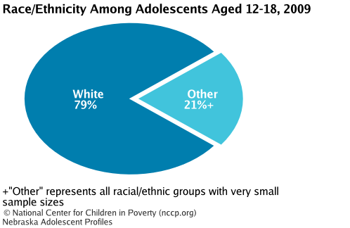 Race/Ethnicity Among Adolescents Aged 12-18, 2008