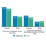 Serious Mental Health Disturbances Among High School Students, by Gender, 2009