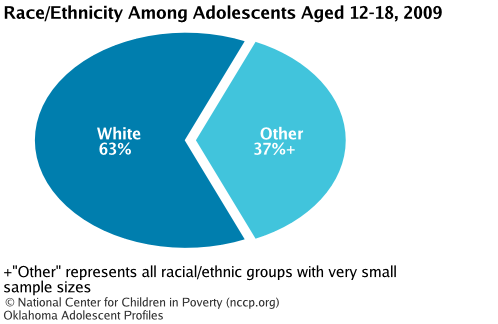 Race/Ethnicity Among Adolescents Aged 12-18, 2008