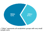Race/Ethnicity Among Adolescents Aged 12-18, 2008