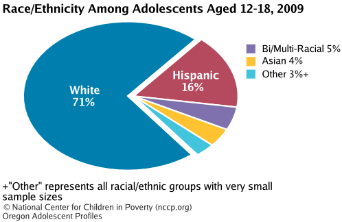 Race/Ethnicity Among Adolescents Aged 12-18, 2008