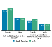 Serious Mental Health Disturbances Among High School Students, by Gender, 2009