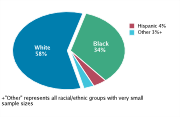 Race/Ethnicity Among Adolescents Aged 12-18, 2008
