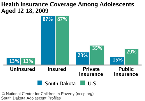 Health Insurance Coverage Among Adolescents Aged 12-18, 2008