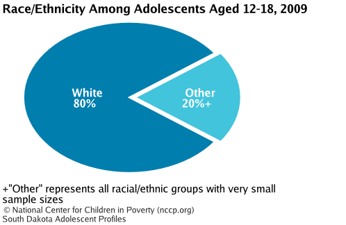 Race/Ethnicity Among Adolescents Aged 12-18, 2008