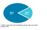 Race/Ethnicity Among Adolescents Aged 12-18, 2008