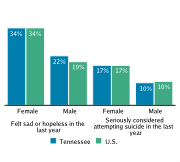 Serious Mental Health Disturbances Among High School Students, by Gender, 2009