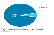 Race/Ethnicity Among Adolescents Aged 12-18, 2008